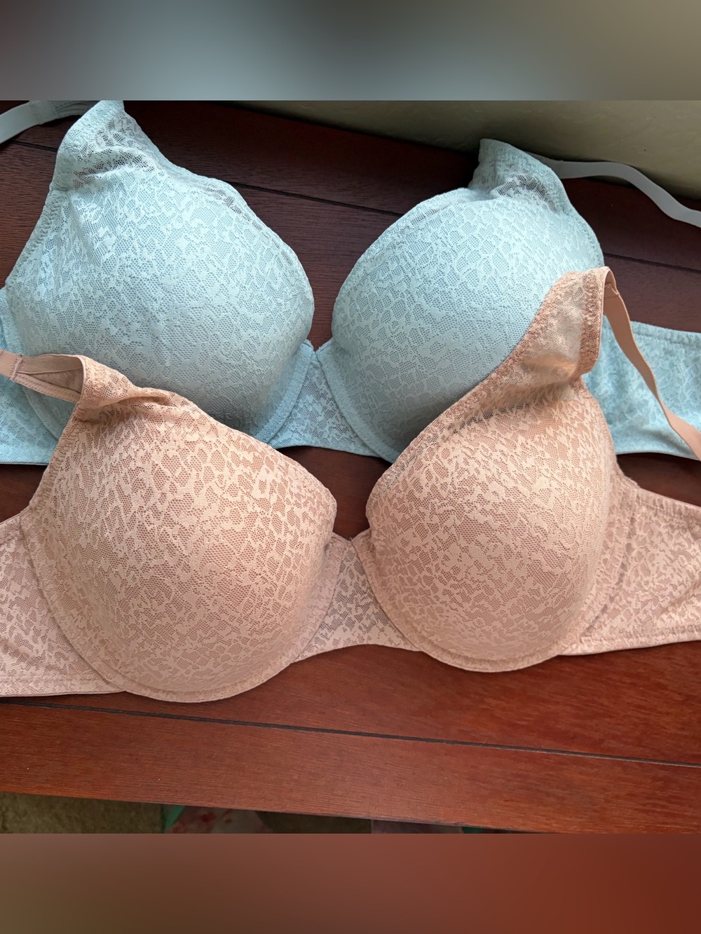 Natori Lace T-Shirt Bra Pair in Light Blue and Nude